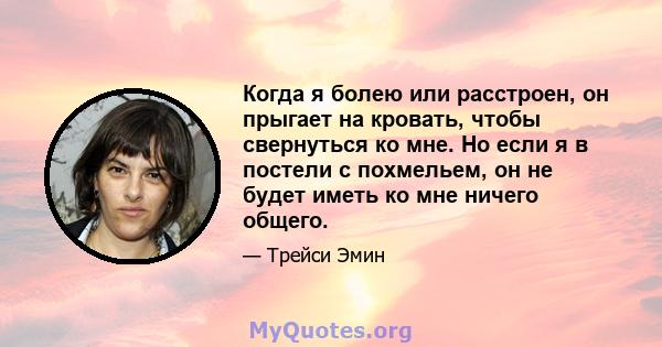 Когда я болею или расстроен, он прыгает на кровать, чтобы свернуться ко мне. Но если я в постели с похмельем, он не будет иметь ко мне ничего общего.