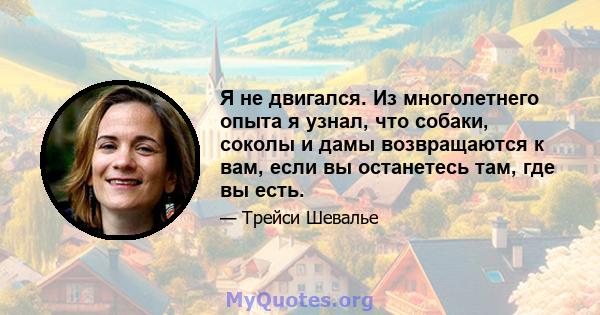 Я не двигался. Из многолетнего опыта я узнал, что собаки, соколы и дамы возвращаются к вам, если вы останетесь там, где вы есть.