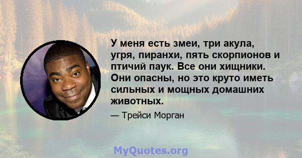 У меня есть змеи, три акула, угря, пиранхи, пять скорпионов и птичий паук. Все они хищники. Они опасны, но это круто иметь сильных и мощных домашних животных.