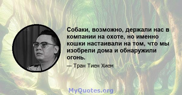 Собаки, возможно, держали нас в компании на охоте, но именно кошки настаивали на том, что мы изобрели дома и обнаружили огонь.