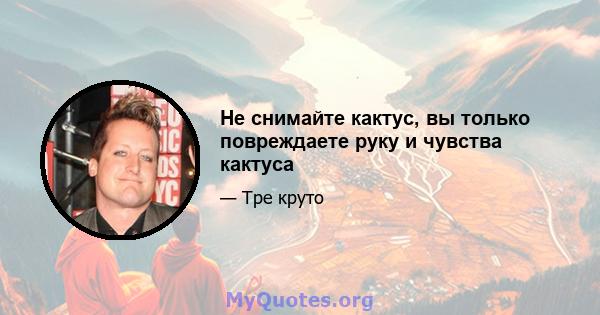 Не снимайте кактус, вы только повреждаете руку и чувства кактуса