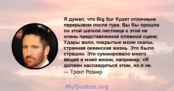 Я думал, что Big Sur будет отличным перерывом после тура. Вы бы прошли по этой шаткой лестнице к этой не очень представленной пляжной сцене; Удары волн, покрытые мхом скалы, странная океанская жизнь. Это было страшно.