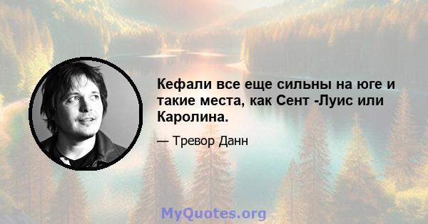 Кефали все еще сильны на юге и такие места, как Сент -Луис или Каролина.