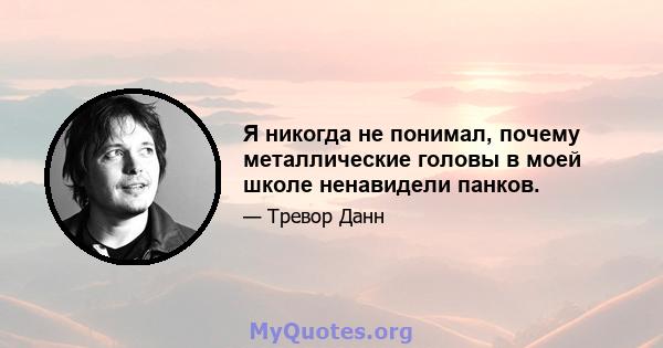 Я никогда не понимал, почему металлические головы в моей школе ненавидели панков.