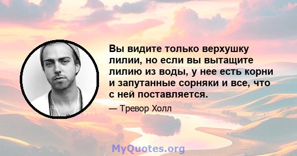 Вы видите только верхушку лилии, но если вы вытащите лилию из воды, у нее есть корни и запутанные сорняки и все, что с ней поставляется.