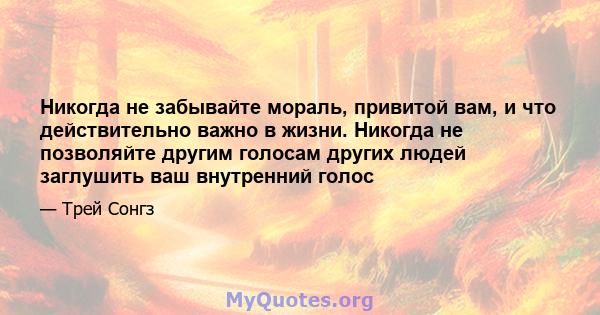 Никогда не забывайте мораль, привитой вам, и что действительно важно в жизни. Никогда не позволяйте другим голосам других людей заглушить ваш внутренний голос