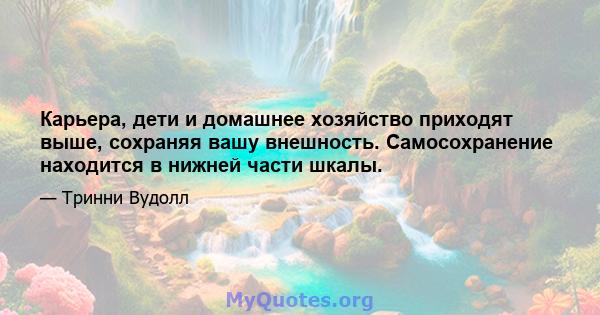 Карьера, дети и домашнее хозяйство приходят выше, сохраняя вашу внешность. Самосохранение находится в нижней части шкалы.