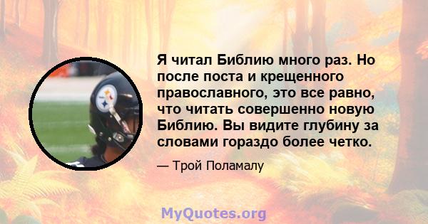 Я читал Библию много раз. Но после поста и крещенного православного, это все равно, что читать совершенно новую Библию. Вы видите глубину за словами гораздо более четко.