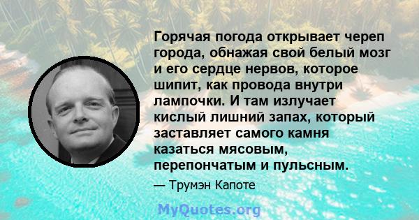 Горячая погода открывает череп города, обнажая свой белый мозг и его сердце нервов, которое шипит, как провода внутри лампочки. И там излучает кислый лишний запах, который заставляет самого камня казаться мясовым,