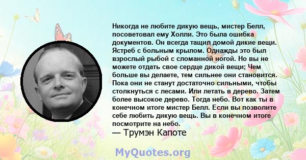 Никогда не любите дикую вещь, мистер Белл, посоветовал ему Холли. Это была ошибка документов. Он всегда тащил домой дикие вещи. Ястреб с больным крылом. Однажды это был взрослый рыбой с сломанной ногой. Но вы не можете