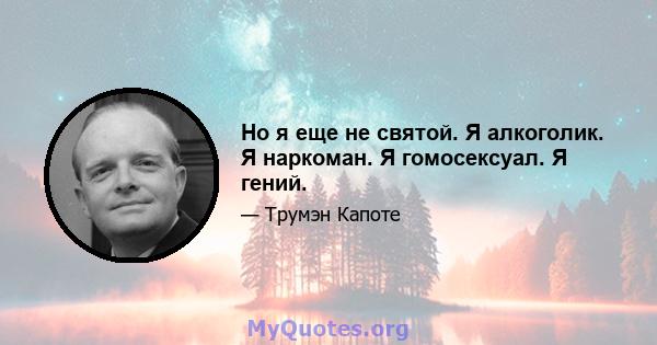 Но я еще не святой. Я алкоголик. Я наркоман. Я гомосексуал. Я гений.