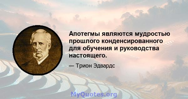 Апотегмы являются мудростью прошлого конденсированного для обучения и руководства настоящего.