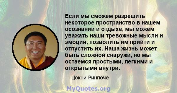 Если мы сможем разрешить некоторое пространство в нашем осознании и отдыхе, мы можем уважать наши тревожные мысли и эмоции, позволить им прийти и отпустить их. Наша жизнь может быть сложной снаружи, но мы остаемся