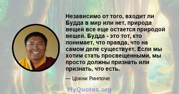 Независимо от того, входит ли Будда в мир или нет, природа вещей все еще остается природой вещей. Будда - это тот, кто понимает, что правда, что на самом деле существует. Если мы хотим стать просвещенными, мы просто