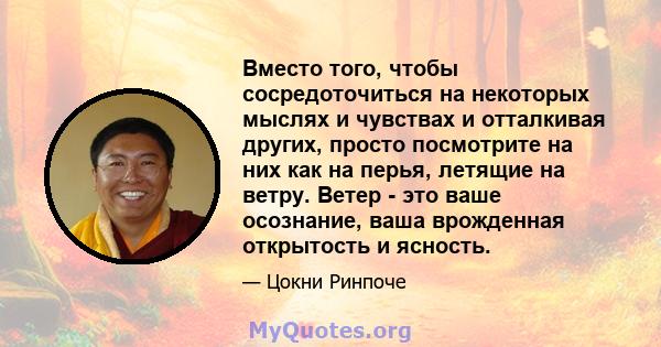 Вместо того, чтобы сосредоточиться на некоторых мыслях и чувствах и отталкивая других, просто посмотрите на них как на перья, летящие на ветру. Ветер - это ваше осознание, ваша врожденная открытость и ясность.