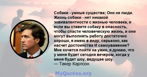 Собаки - умные существа; Они не люди. Жизнь собаки - нет никакой эквивалентности с жизнью человека, и если вы ставите собаку в опасность, чтобы спасти человеческую жизнь, и они могут выполнять работу достаточно хорошо,