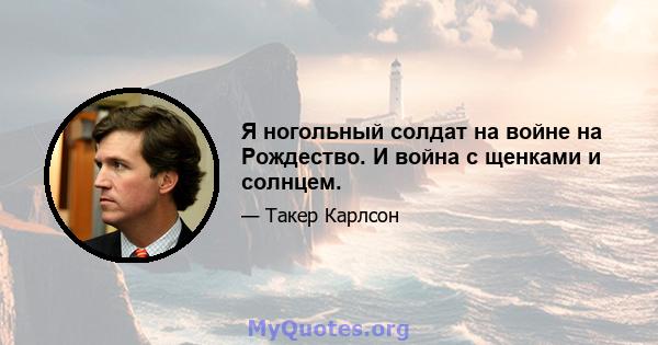 Я ногольный солдат на войне на Рождество. И война с щенками и солнцем.