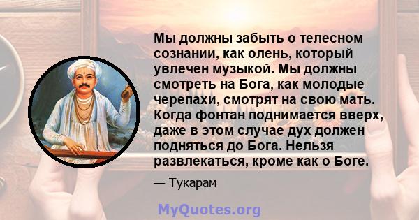 Мы должны забыть о телесном сознании, как олень, который увлечен музыкой. Мы должны смотреть на Бога, как молодые черепахи, смотрят на свою мать. Когда фонтан поднимается вверх, даже в этом случае дух должен подняться