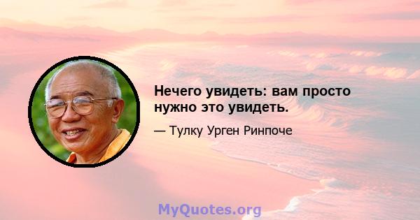 Нечего увидеть: вам просто нужно это увидеть.