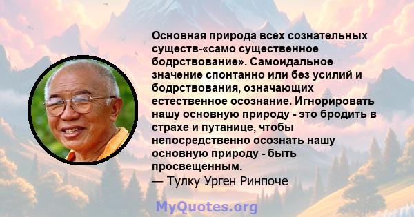 Основная природа всех сознательных существ-«само существенное бодрствование». Самоидальное значение спонтанно или без усилий и бодрствования, означающих естественное осознание. Игнорировать нашу основную природу - это