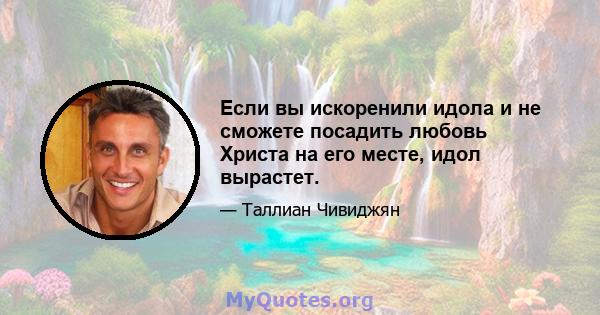 Если вы искоренили идола и не сможете посадить любовь Христа на его месте, идол вырастет.