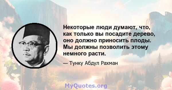 Некоторые люди думают, что, как только вы посадите дерево, оно должно приносить плоды. Мы должны позволить этому немного расти.