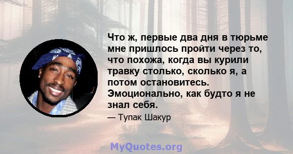 Что ж, первые два дня в тюрьме мне пришлось пройти через то, что похожа, когда вы курили травку столько, сколько я, а потом остановитесь. Эмоционально, как будто я не знал себя.