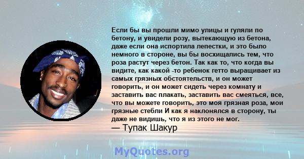 Если бы вы прошли мимо улицы и гуляли по бетону, и увидели розу, вытекающую из бетона, даже если она испортила лепестки, и это было немного в стороне, вы бы восхищались тем, что роза растут через бетон. Так как то, что