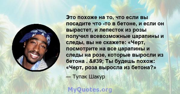 Это похоже на то, что если вы посадите что -то в бетоне, и если он вырастет, и лепесток из розы получил всевозможные царапины и следы, вы не скажете: «Черт, посмотрите на все царапины и следы на розе, которые выросли из 