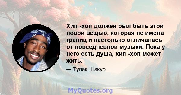 Хип -хоп должен был быть этой новой вещью, которая не имела границ и настолько отличалась от повседневной музыки. Пока у него есть душа, хип -хоп может жить.