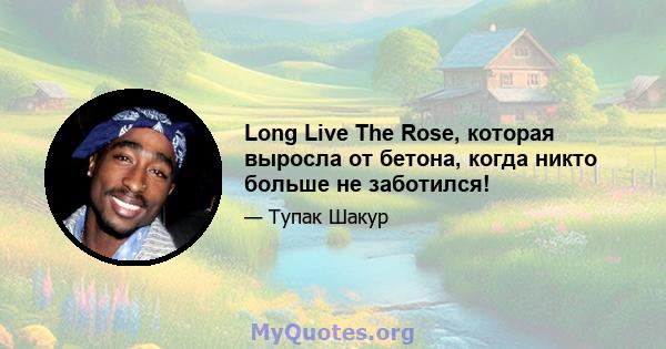 Long Live The Rose, которая выросла от бетона, когда никто больше не заботился!