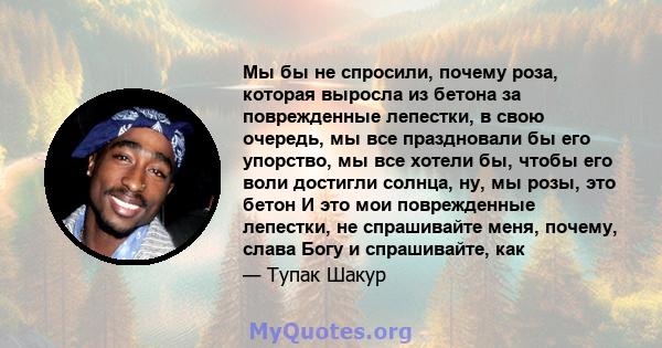 Мы бы не спросили, почему роза, которая выросла из бетона за поврежденные лепестки, в свою очередь, мы все праздновали бы его упорство, мы все хотели бы, чтобы его воли достигли солнца, ну, мы розы, это бетон И это мои