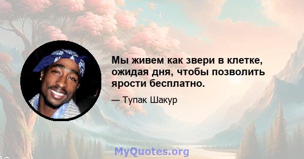 Мы живем как звери в клетке, ожидая дня, чтобы позволить ярости бесплатно.