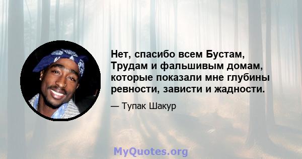 Нет, спасибо всем Бустам, Трудам и фальшивым домам, которые показали мне глубины ревности, зависти и жадности.