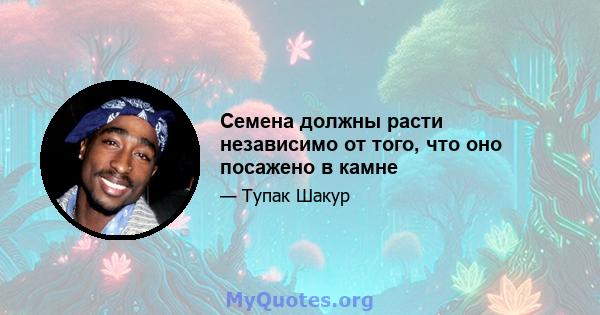 Семена должны расти независимо от того, что оно посажено в камне