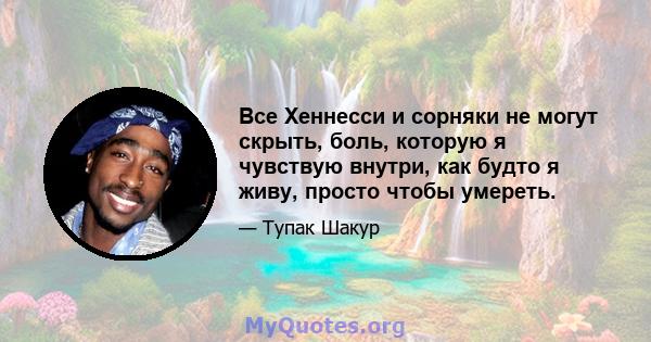 Все Хеннесси и сорняки не могут скрыть, боль, которую я чувствую внутри, как будто я живу, просто чтобы умереть.