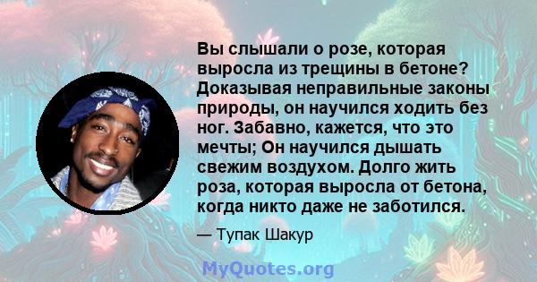 Вы слышали о розе, которая выросла из трещины в бетоне? Доказывая неправильные законы природы, он научился ходить без ног. Забавно, кажется, что это мечты; Он научился дышать свежим воздухом. Долго жить роза, которая