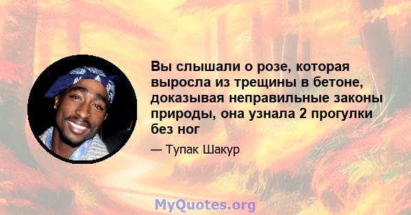 Вы слышали о розе, которая выросла из трещины в бетоне, доказывая неправильные законы природы, она узнала 2 прогулки без ног