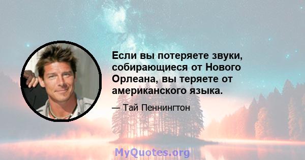 Если вы потеряете звуки, собирающиеся от Нового Орлеана, вы теряете от американского языка.