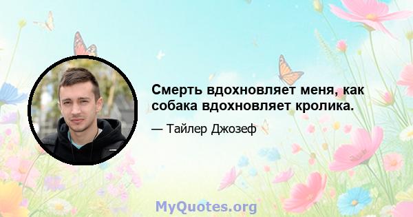 Смерть вдохновляет меня, как собака вдохновляет кролика.