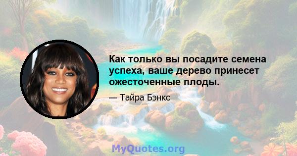 Как только вы посадите семена успеха, ваше дерево принесет ожесточенные плоды.