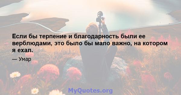 Если бы терпение и благодарность были ее верблюдами, это было бы мало важно, на котором я ехал.