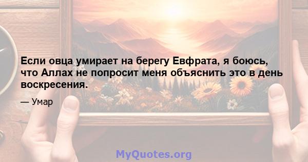 Если овца умирает на берегу Евфрата, я боюсь, что Аллах не попросит меня объяснить это в день воскресения.