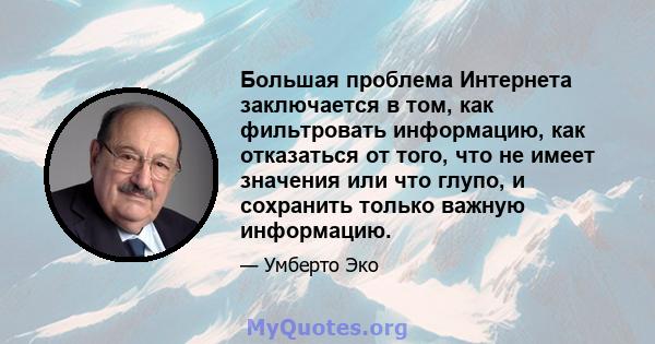 Большая проблема Интернета заключается в том, как фильтровать информацию, как отказаться от того, что не имеет значения или что глупо, и сохранить только важную информацию.