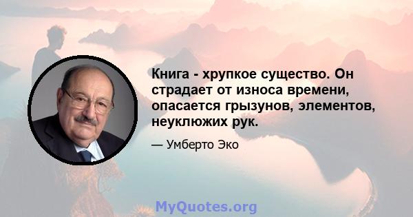 Книга - хрупкое существо. Он страдает от износа времени, опасается грызунов, элементов, неуклюжих рук.