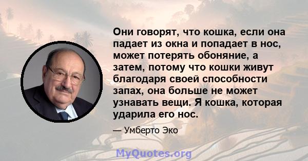 Они говорят, что кошка, если она падает из окна и попадает в нос, может потерять обоняние, а затем, потому что кошки живут благодаря своей способности запах, она больше не может узнавать вещи. Я кошка, которая ударила