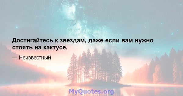 Достигайтесь к звездам, даже если вам нужно стоять на кактусе.