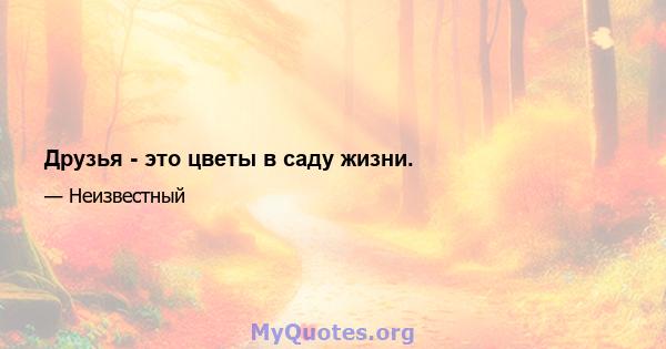 Друзья - это цветы в саду жизни.