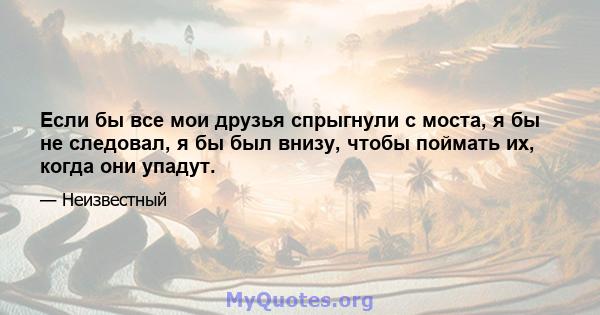 Если бы все мои друзья спрыгнули с моста, я бы не следовал, я бы был внизу, чтобы поймать их, когда они упадут.