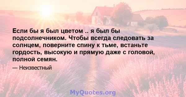 Если бы я был цветом .. я был бы подсолнечником. Чтобы всегда следовать за солнцем, поверните спину к тьме, встаньте гордость, высокую и прямую даже с головой, полной семян.